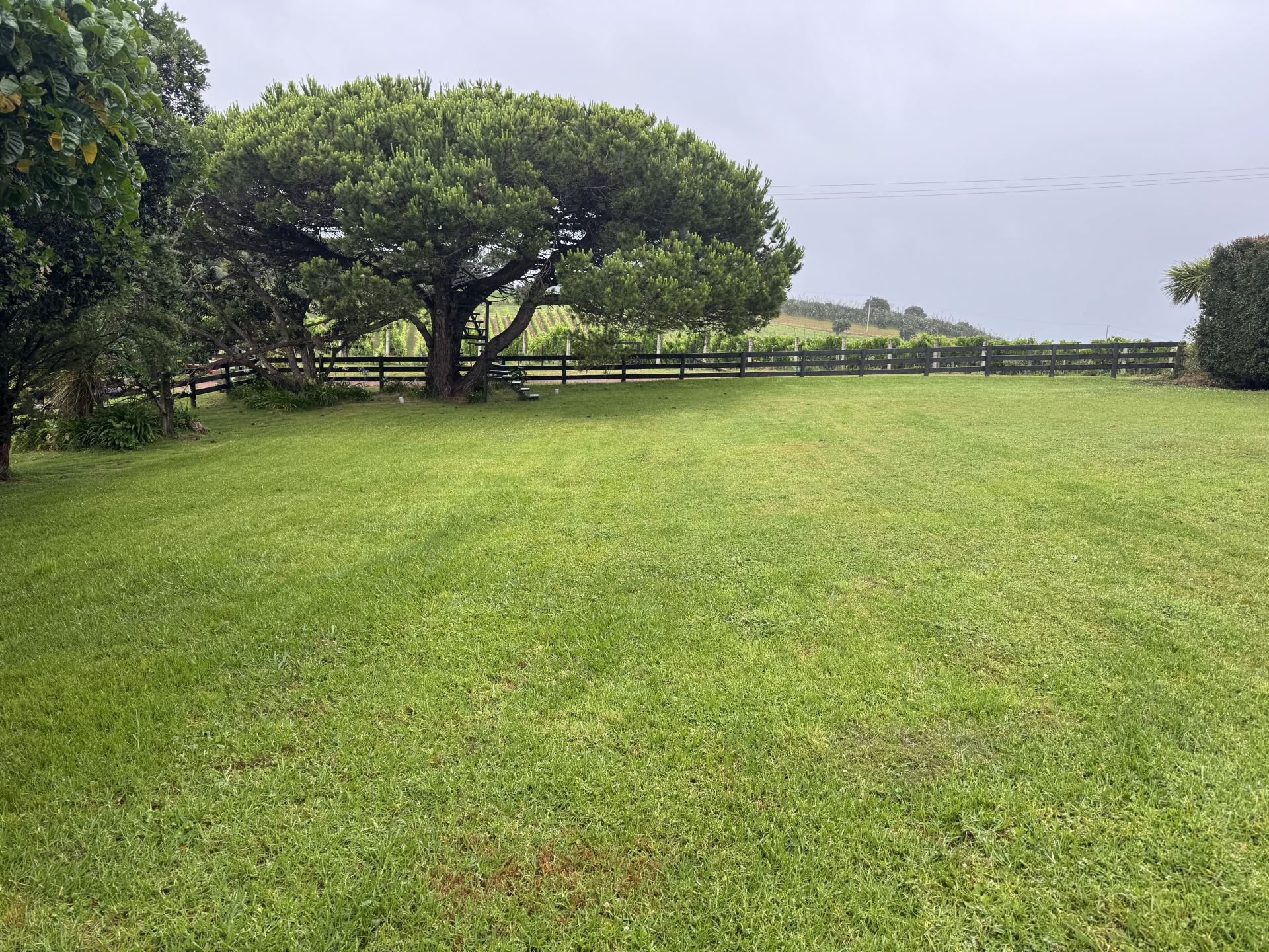 Lawn maintenance
