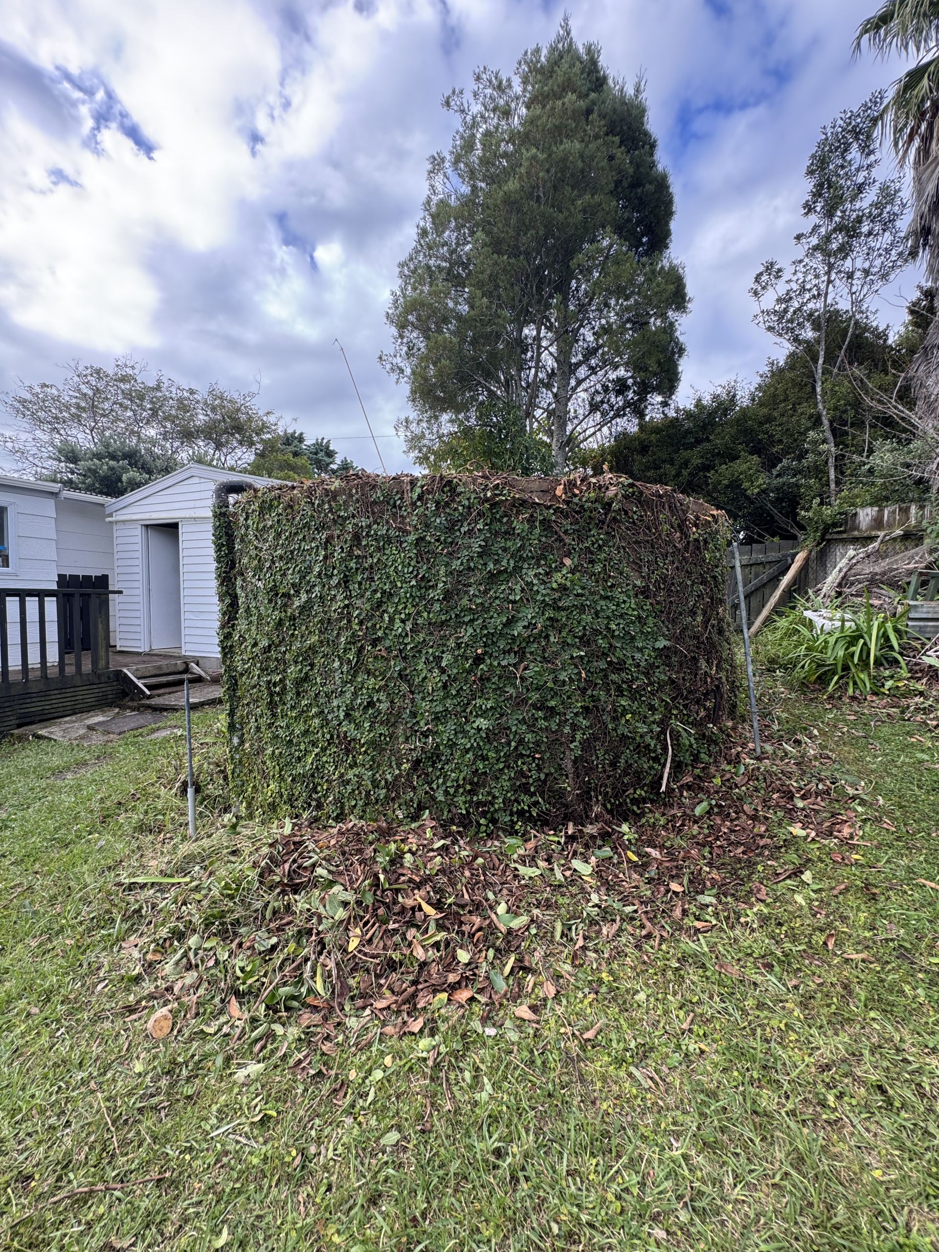 Garden after