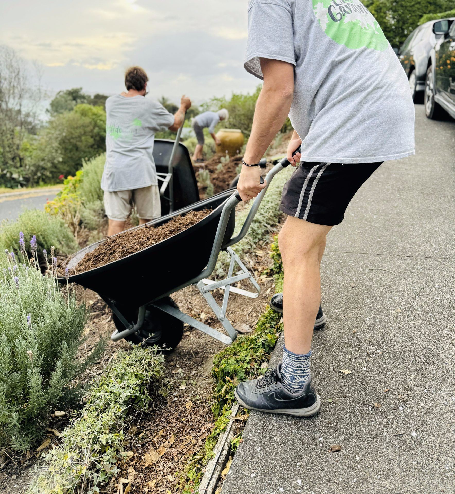 Mulching